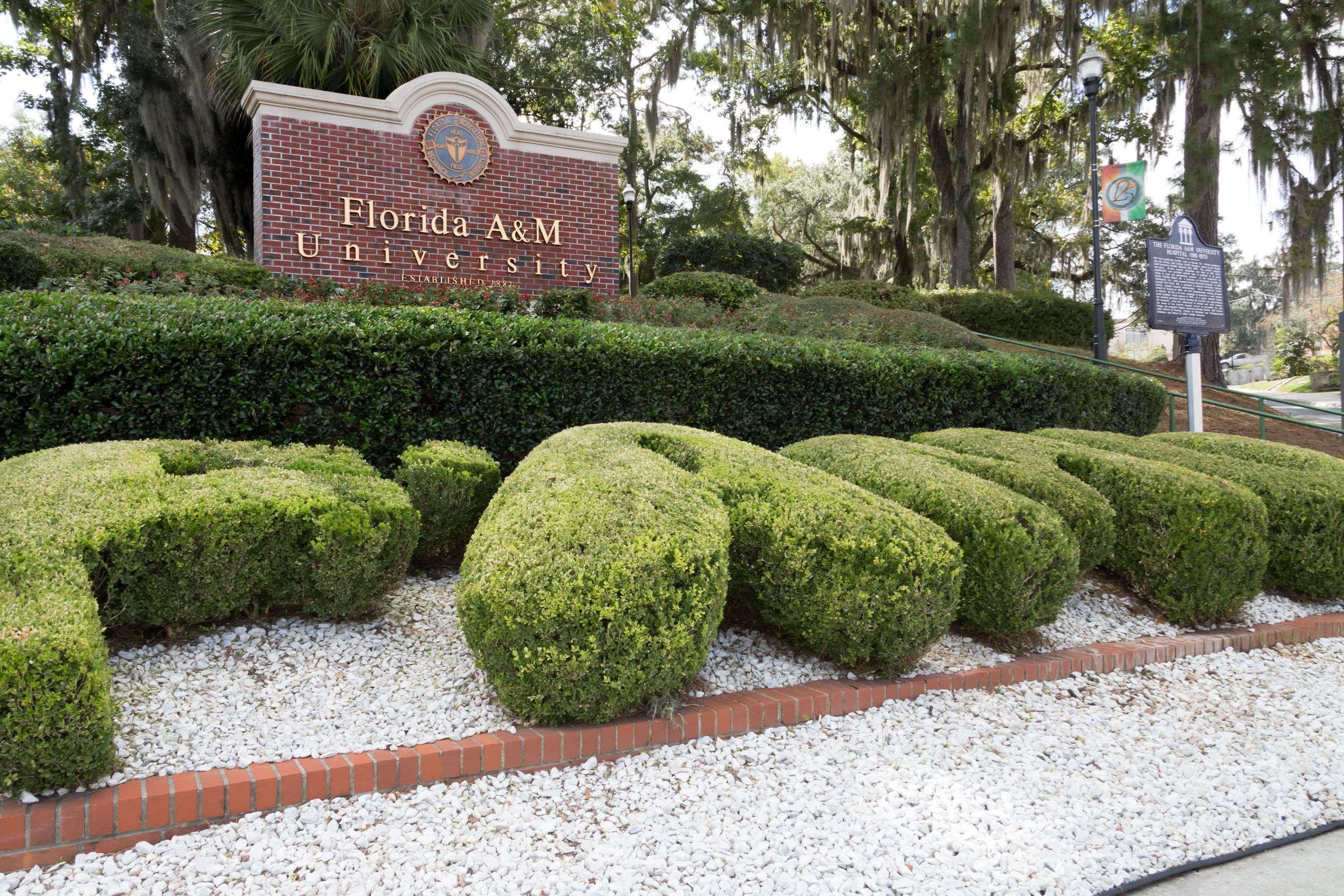 Super 8 By Wyndham Madison Hotel Exterior photo